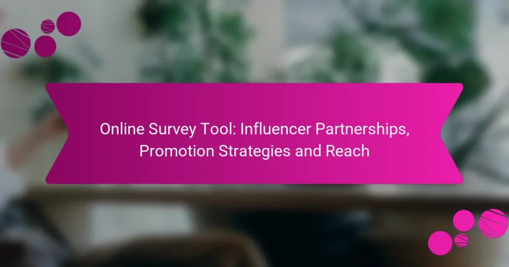 Online Survey Tool: Influencer Partnerships, Promotion Strategies and Reach