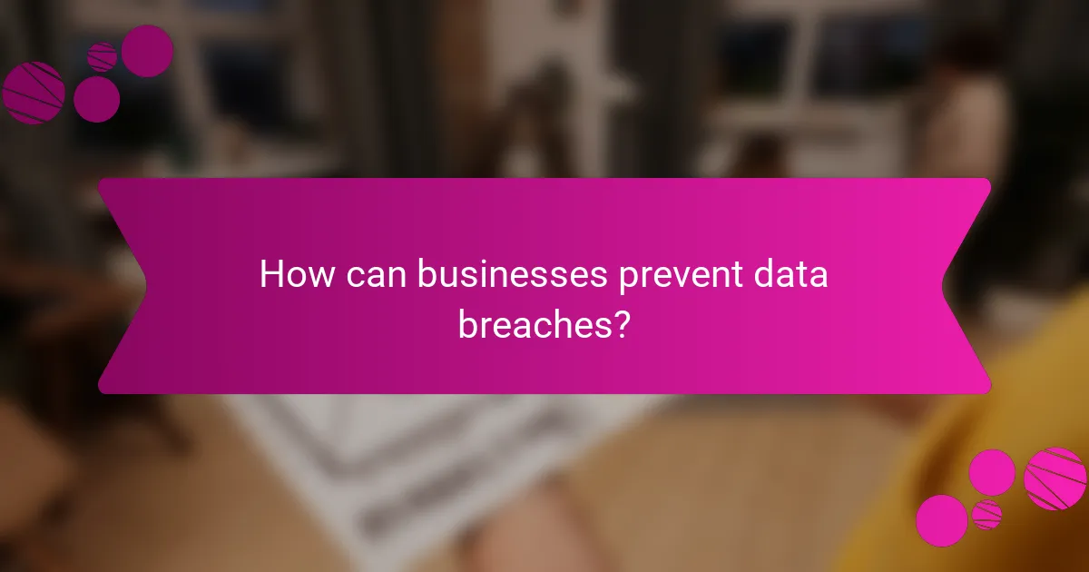 How can businesses prevent data breaches?